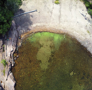 aerial photo of a cyanobacteria bloom