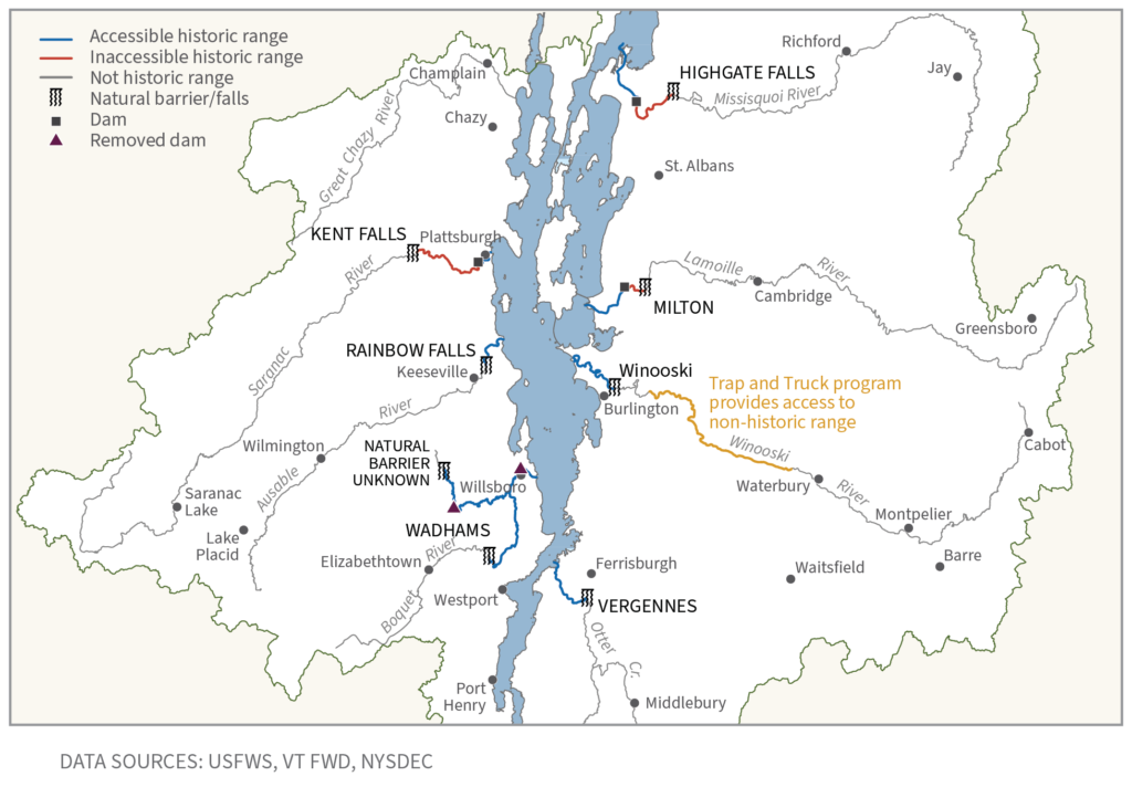 Figure: Landlocked Atlantic salmon habitat access in Lake Champlain tributaries