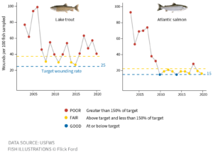 Figure: Annual sea lamprey wounding rates in Lake Champlain 